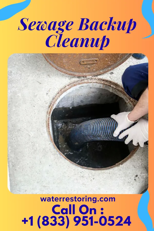 Sewage Backup Cleanup in McBain, MI